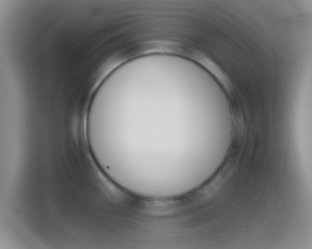 X0000114411290200910231125