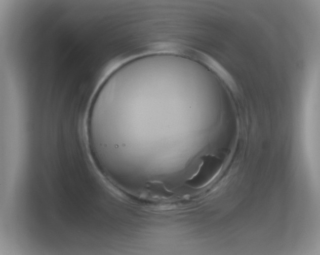 X0000114411291200910231125