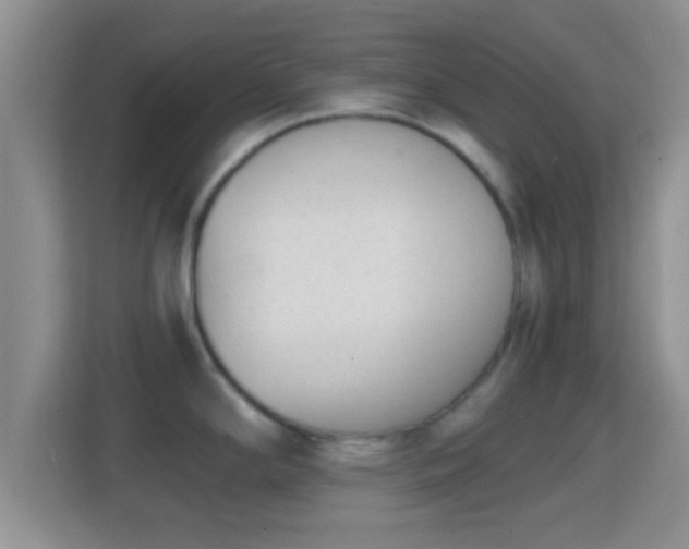 X0000114411294200910231125