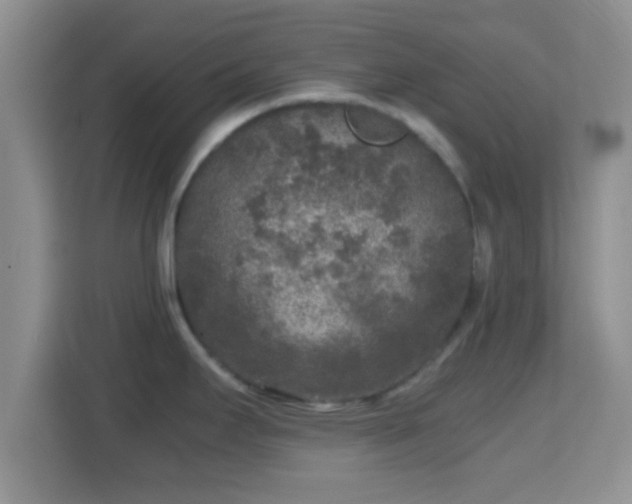 X0000114411295200910231125