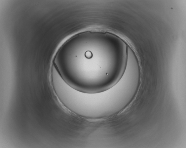 X0000114411296200910231125