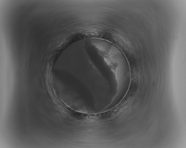 X0000114411297200910231124