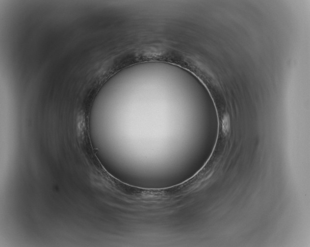 X0000114411299200910231124