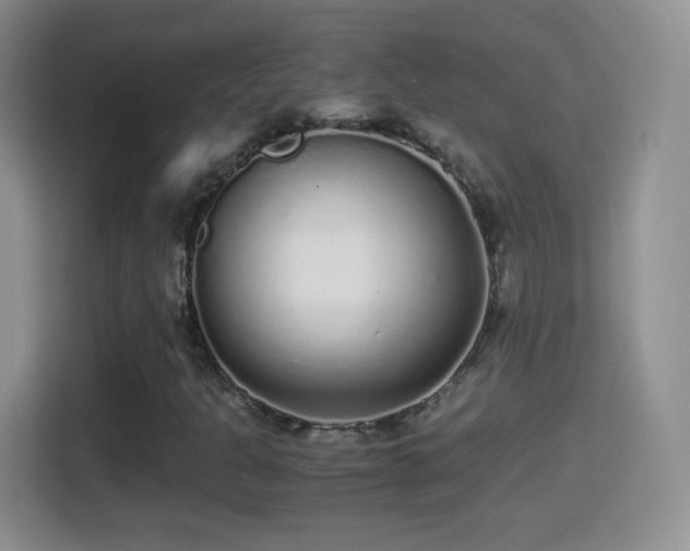X0000114411301200910231124