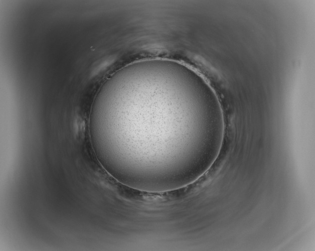 X0000114411302200910231124