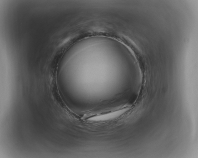 X0000114411303200910231124