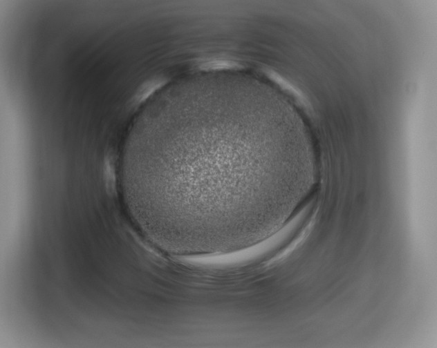 X0000114411305200910231124