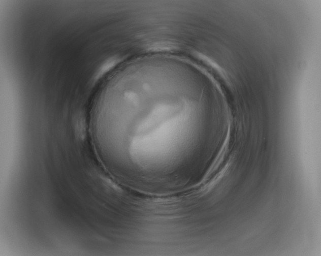 X0000114411306200910231124