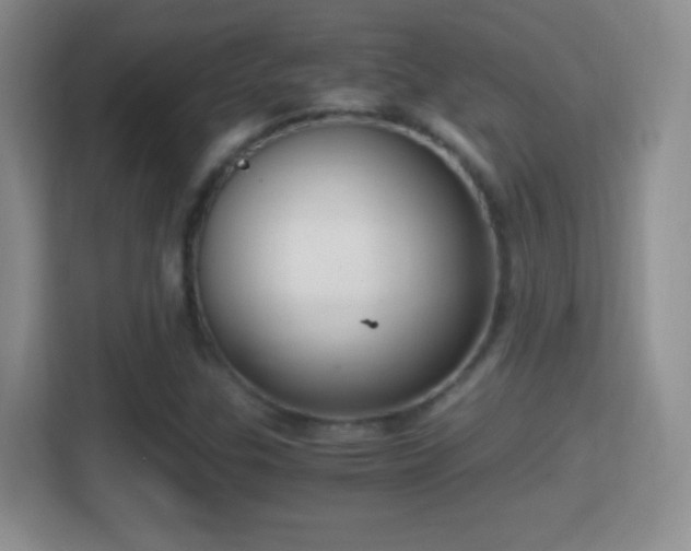 X0000114411307200910231124