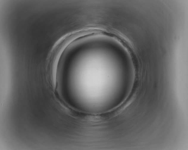 X0000114411310200910231124