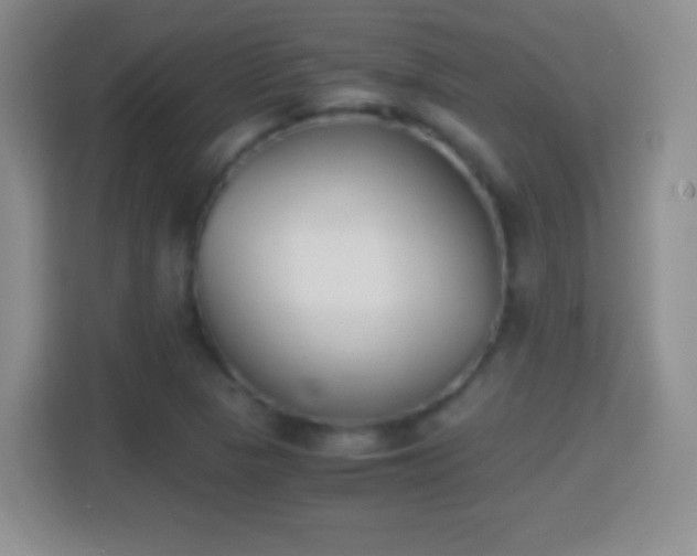 X0000114411313200910231124