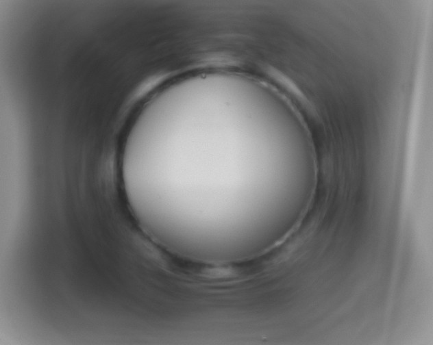 X0000114411315200910231124