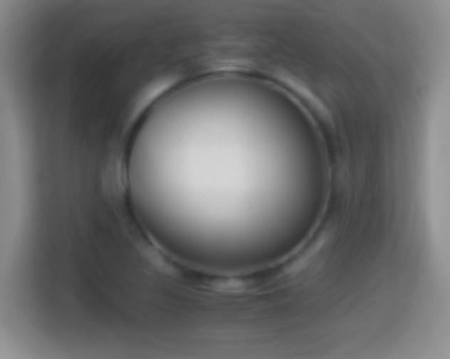 X0000114411317200910231124