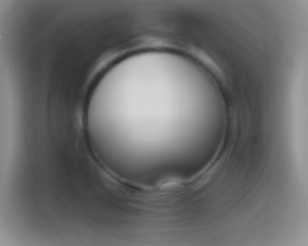 X0000114411318200910231124