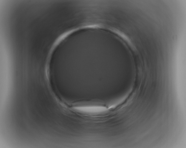 X0000114411319200910231124