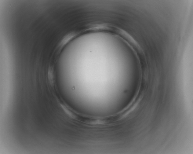 X0000114411321200910231124