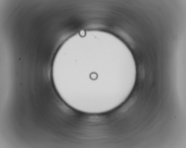 X0000114411322200910231124