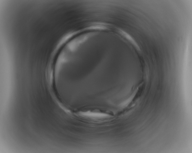 X0000114411323200910231124