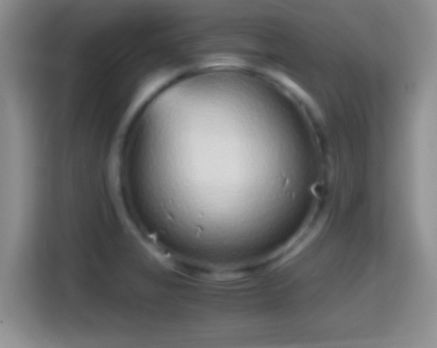X0000114411325200910231124