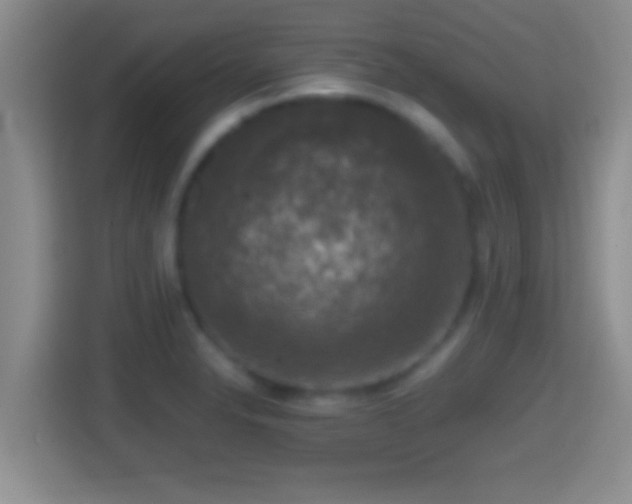 X0000114411326200910231124