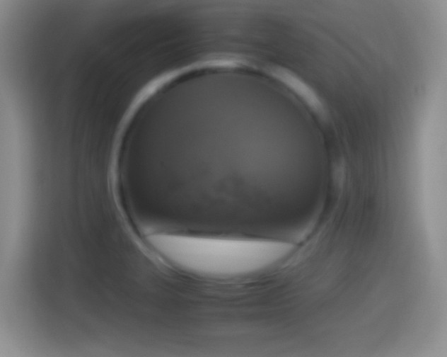 X0000114411327200910231124