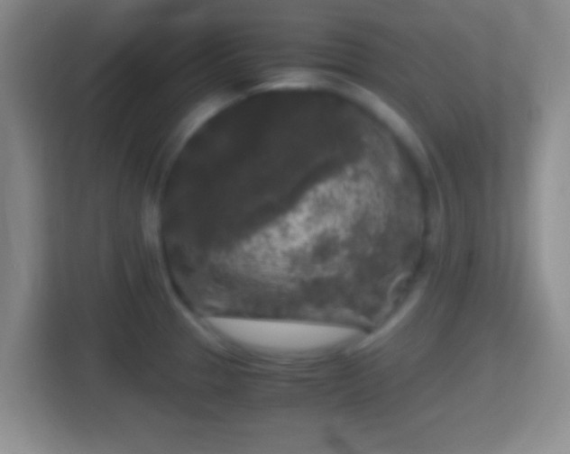 X0000114411329200910231124