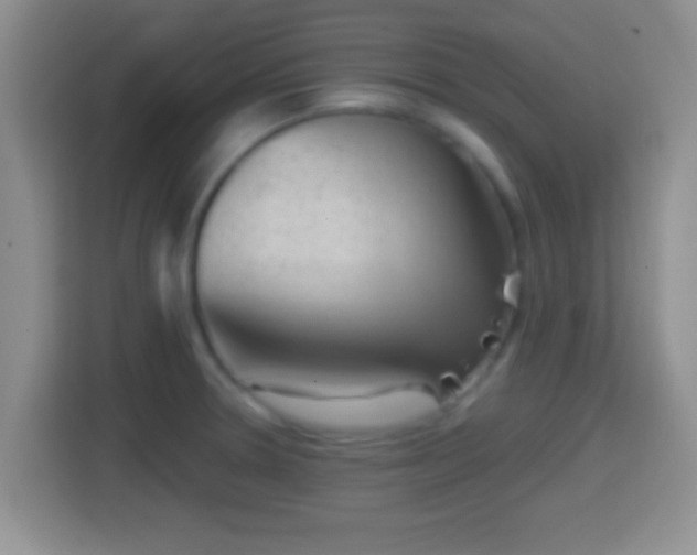 X0000114411330200910231124