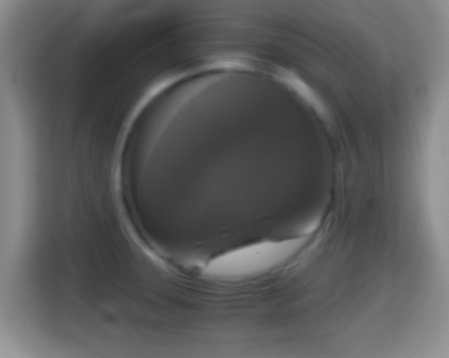 X0000114411331200910231124