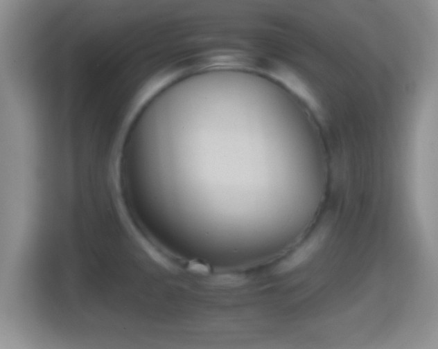 X0000114411333200910231124