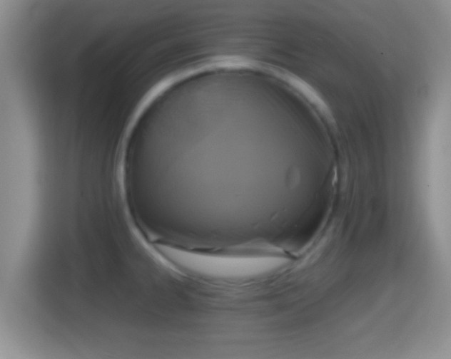 X0000114411334200910231124