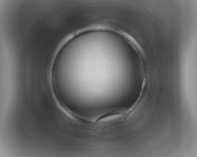X0000114411335200910231124