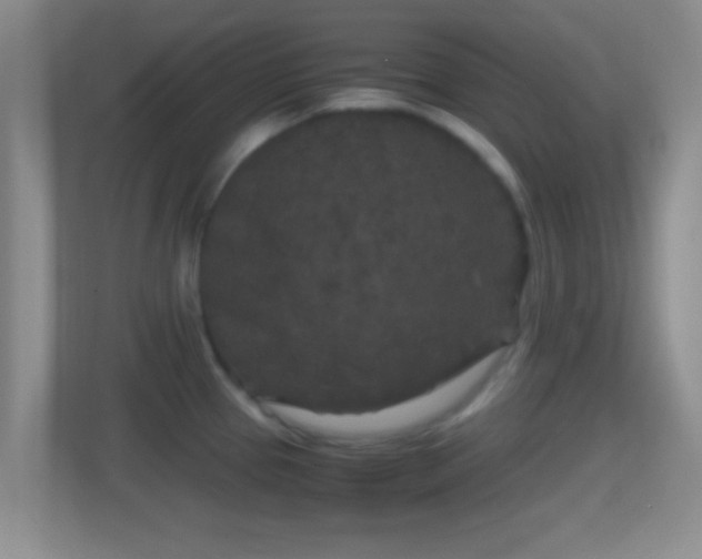 X0000114411337200910231124