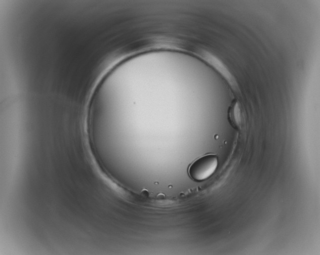 X0000114411339200910231124