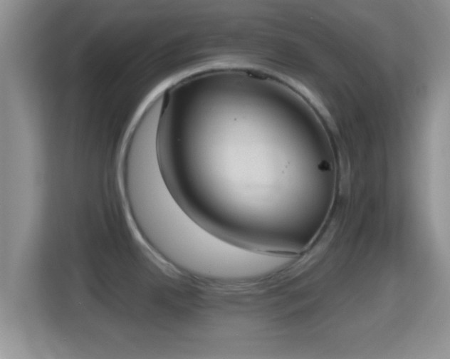 X0000114411342200910231125
