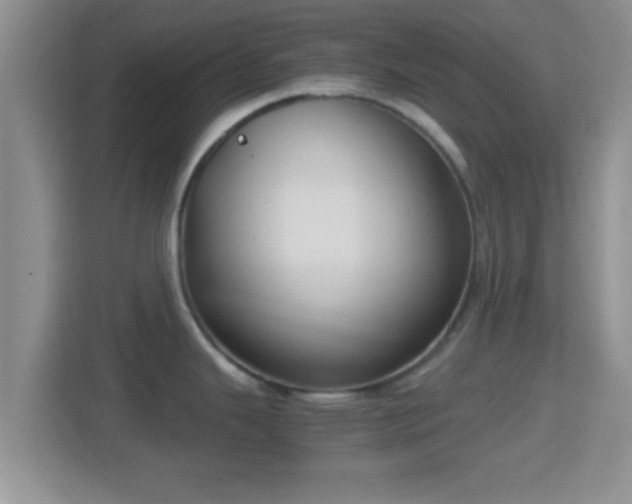 X0000114411343200910231125