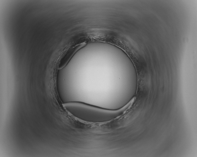 X0000114411345200910231124