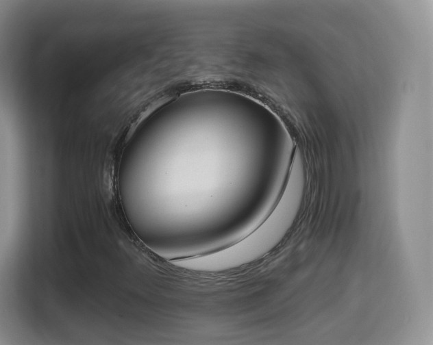 X0000114411348200910231124