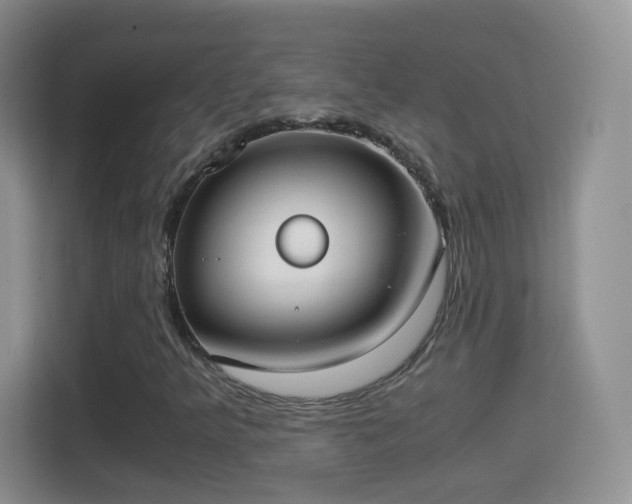 X0000114411349200910231124