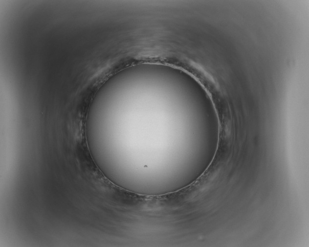 X0000114411350200910231124