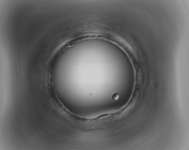 X0000114411352200910231124