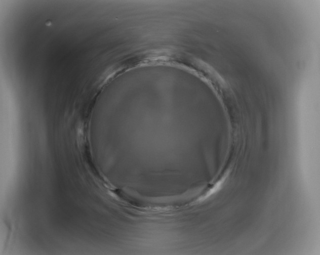 X0000114411353200910231124