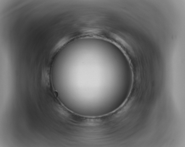 X0000114411354200910231124