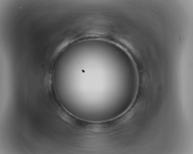 X0000114411355200910231124