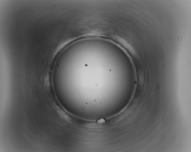 X0000114411356200910231124