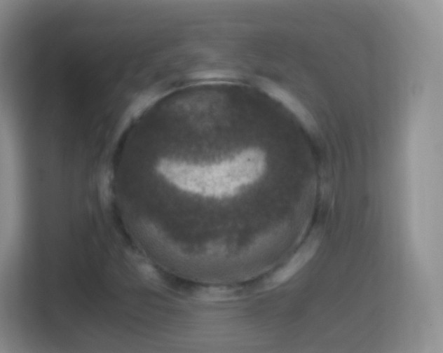 X0000114411357200910231124