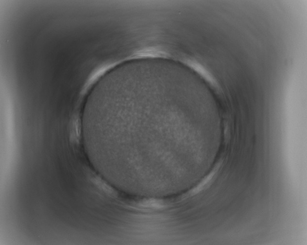 X0000114411358200910231124