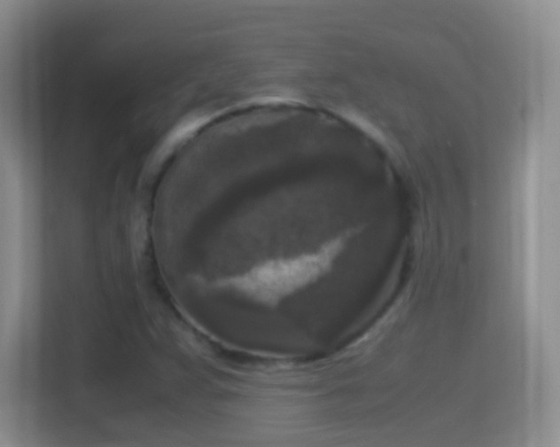 X0000114411359200910231124
