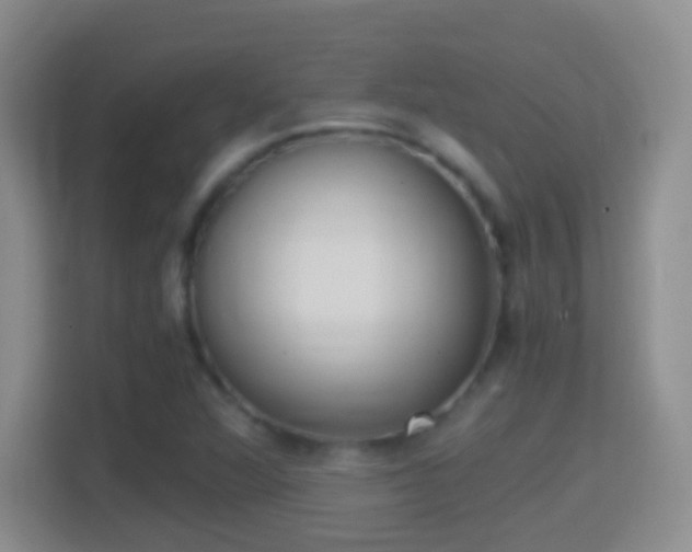 X0000114411360200910231124