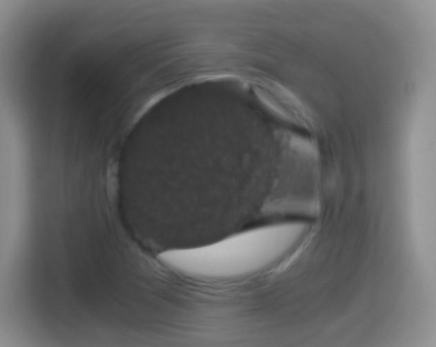 X0000114411361200910231124