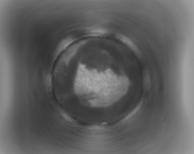 X0000114411362200910231124